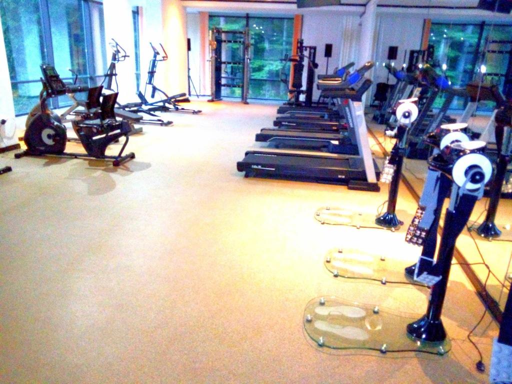 Fitness centrum a/nebo fitness zařízení v ubytování Hotel Hart