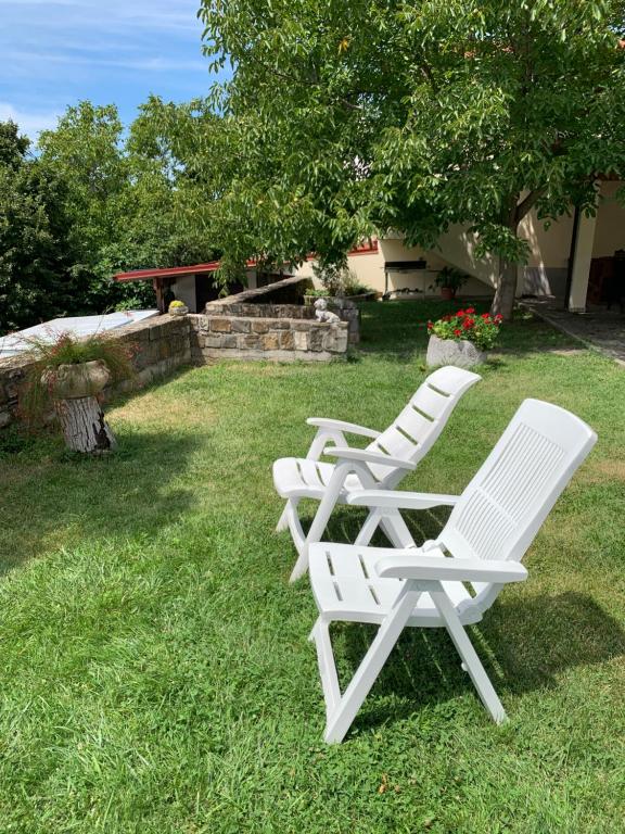 Zahrada ubytování Apartmaji Klabjan - Kaki