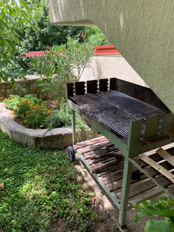 Zahrada ubytování Apartmaji Klabjan - Kaki