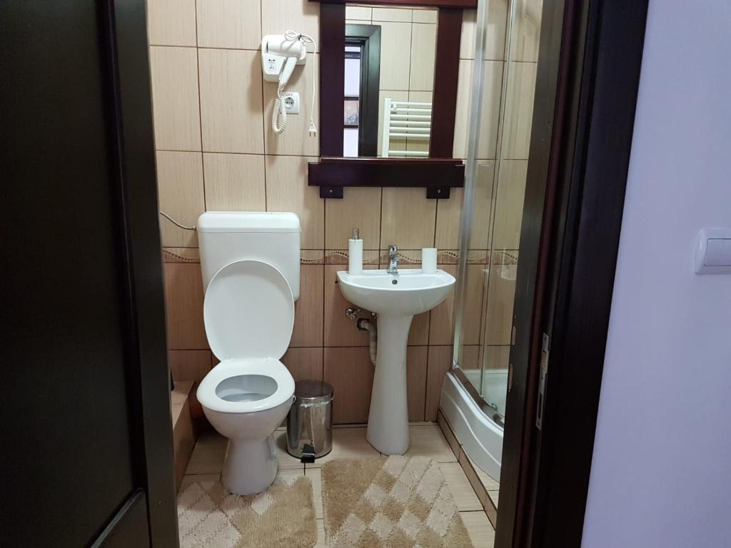 a bathroom with a toilet and a sink at Casa cu Cerdac in Sighişoara