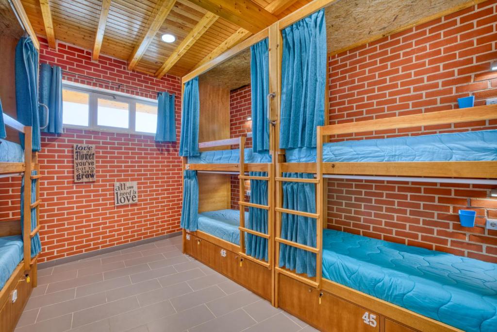 Uma ou mais camas em beliche em um quarto em Sagres Sun Stay - Surf Camp & Hostel