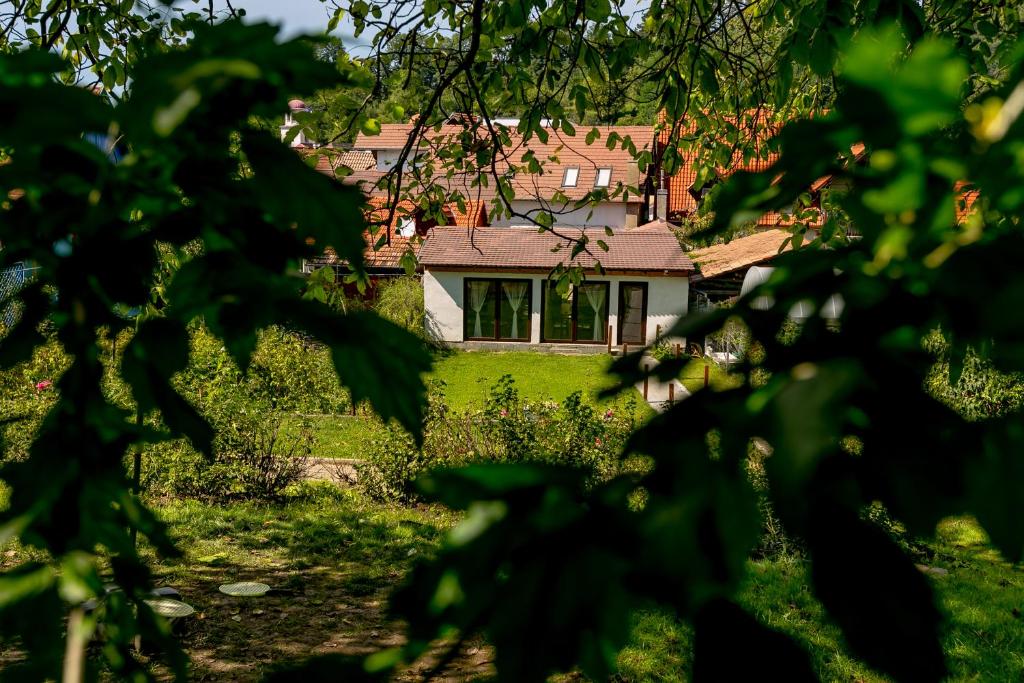 Zahrada ubytování Casa Adalmo