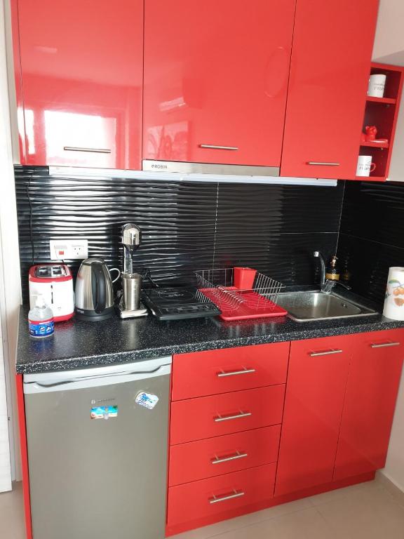 Kuchyň nebo kuchyňský kout v ubytování M & M Red Luxury