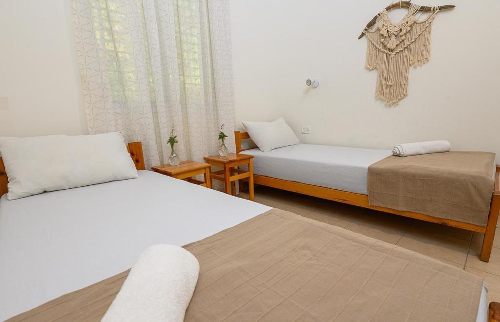 Jordan Valley Birding Lodge - Family Room With Terrace