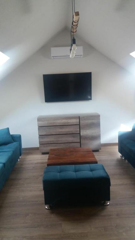 Televízia a/alebo spoločenská miestnosť v ubytovaní Apartamenty Minimal House