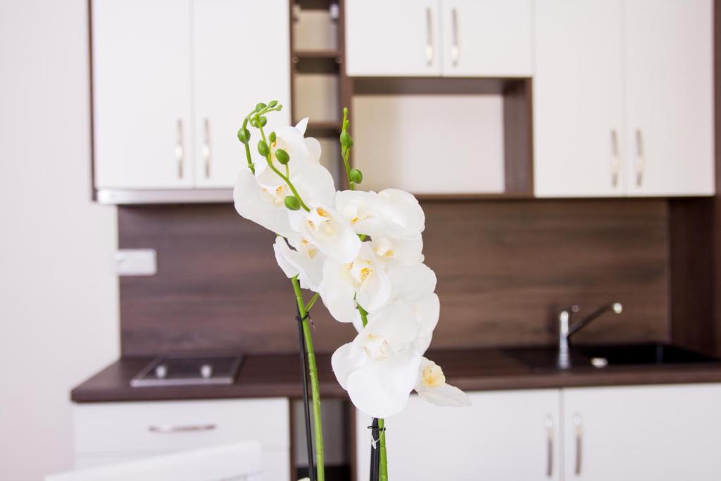 Apartmány ADH Dolní Morava - 16