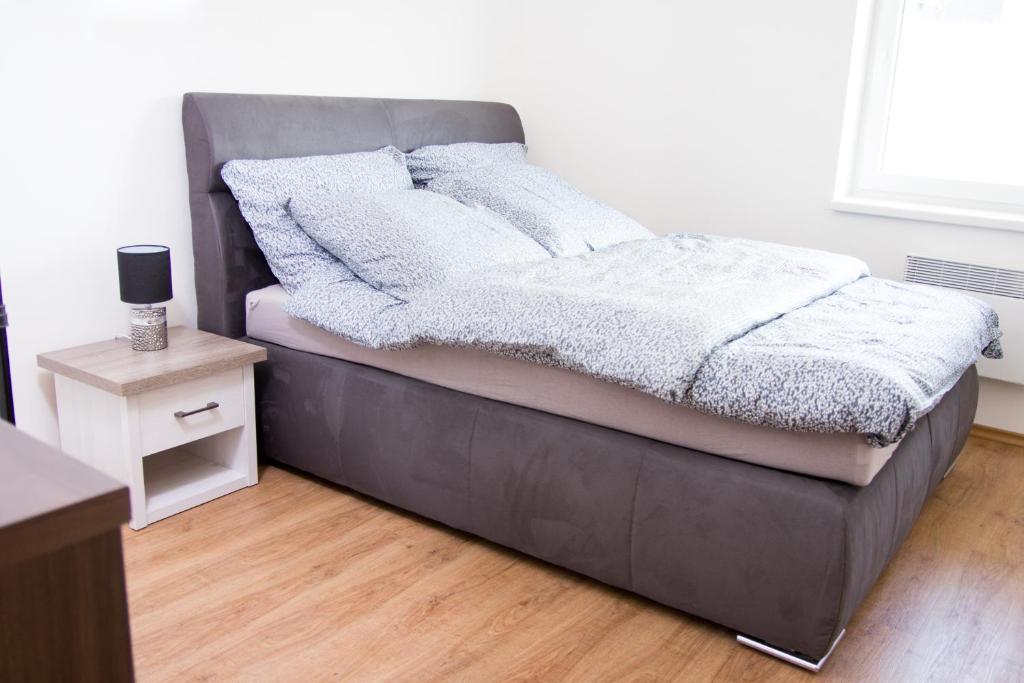 Apartmány ADH Dolní Morava - 1