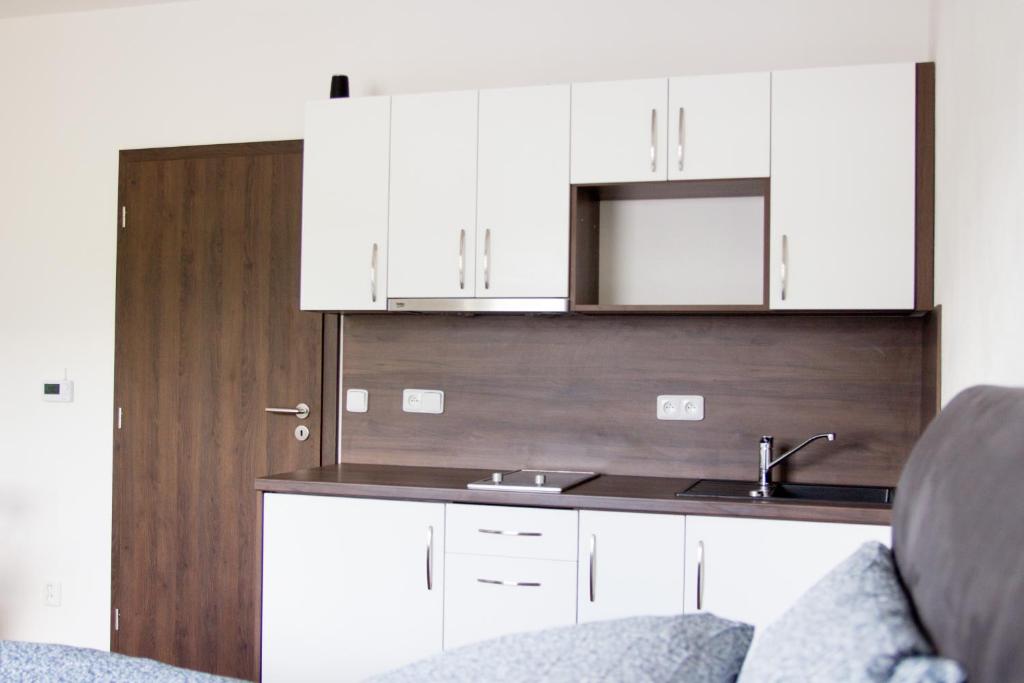 Apartmány ADH Dolní Morava - 6