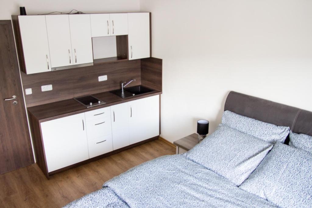 Apartmány ADH Dolní Morava - 8