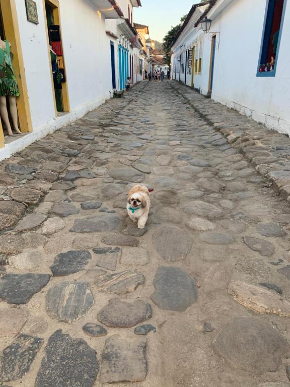  Flat Boa Vista