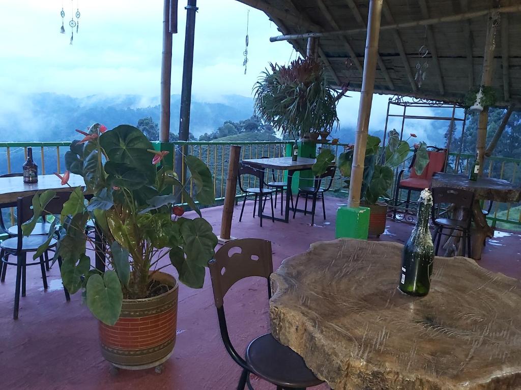 Üldine mäevaade või majutusasutusest Hostal y Camping Los Girasoles pildistatud vaade