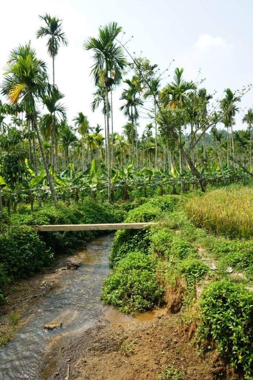Zahrada ubytování Wayal Wayanad Farm Resort