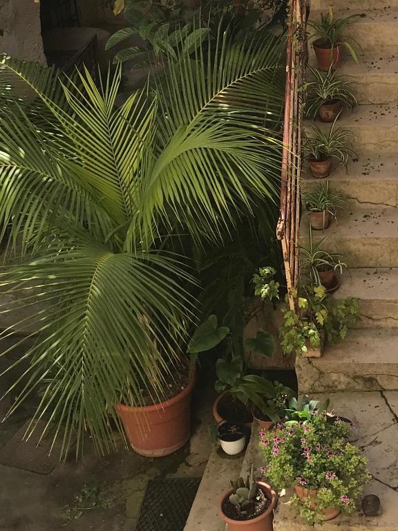 A garden outside B&B Case a San Matteo