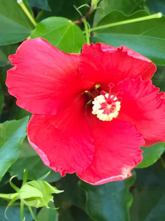 Durie Vale Retreat - Resim 28