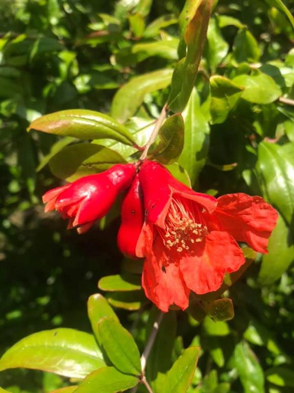 Durie Vale Retreat - Resim 29