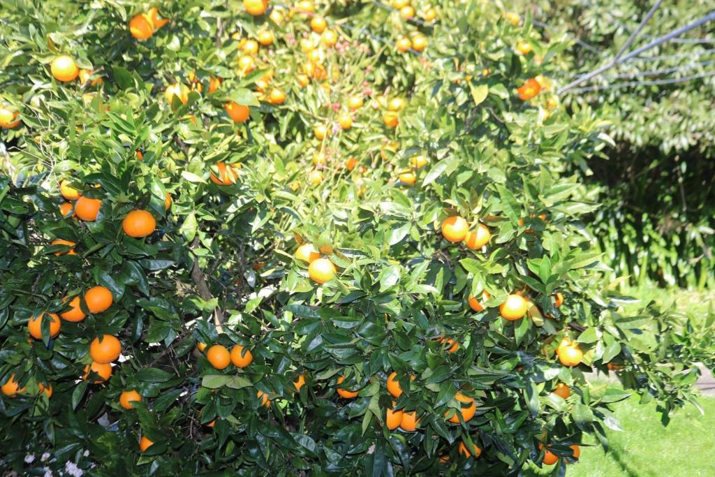 Durie Vale Retreat - Resim 26