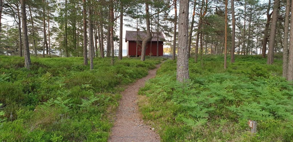 einen Feldweg in einem Wald mit einem kleinen roten Gebäude in der Unterkunft Rolfskärrs Stugby in Nygård