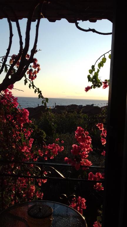 una ventana con vistas al océano y flores rosas en iliolithos rooms en Kardamyli