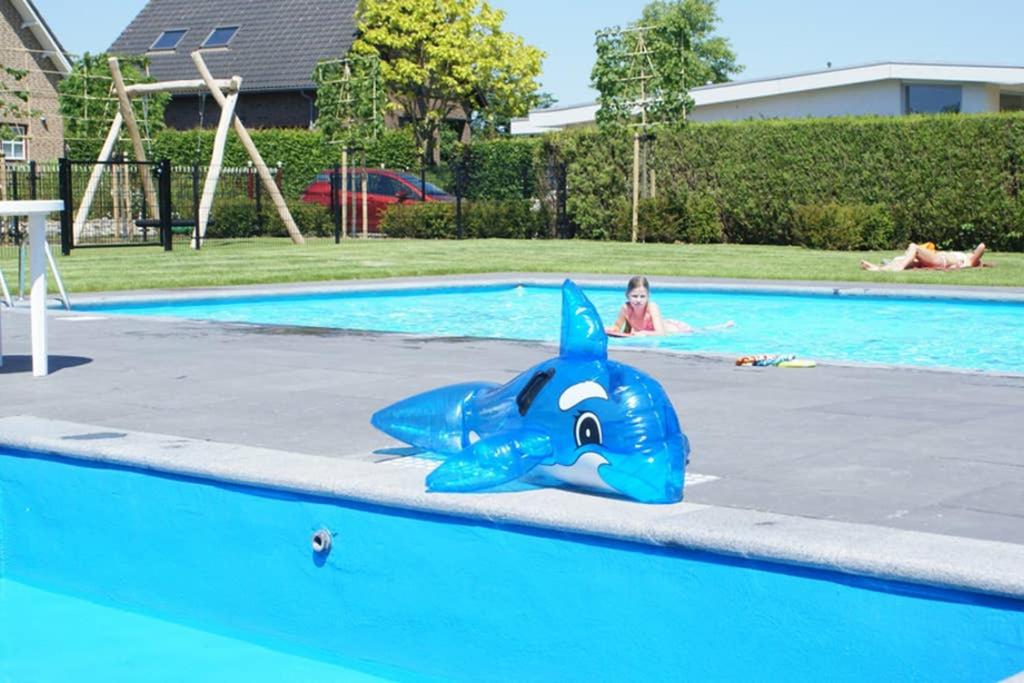 Swimmingpoolen hos eller tæt på inlimburgopvakantie