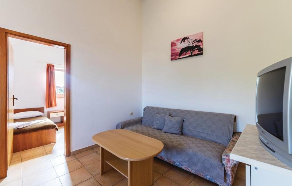 Televízia a/alebo spoločenská miestnosť v ubytovaní Apartmani Valdebek