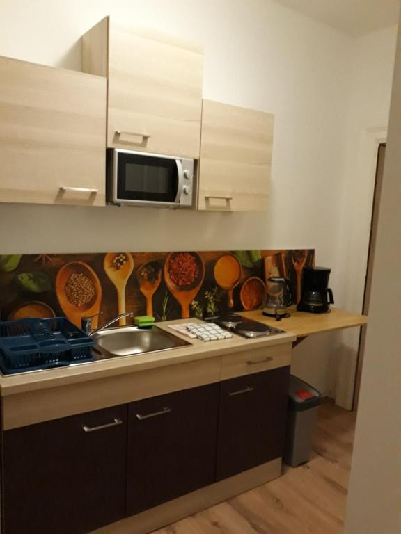 a kitchen with a sink and a microwave at Astoria Central Appartement 10 minutes to downtown in Vienna
