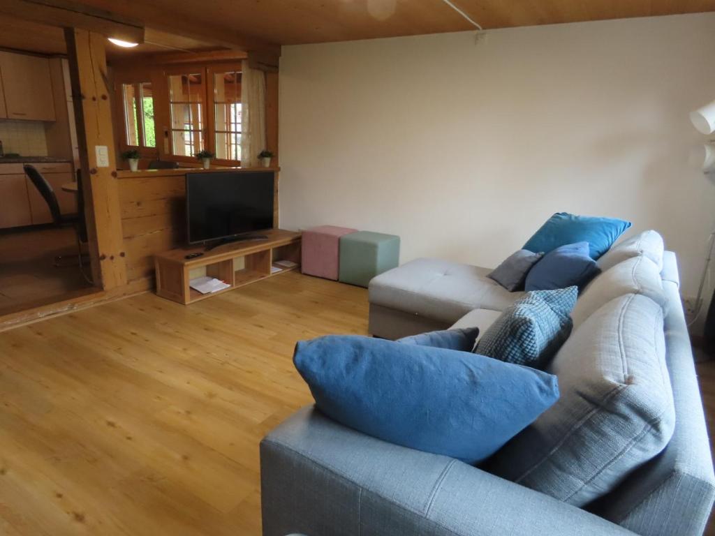 TV a/nebo společenská místnost v ubytování Holzhaus bei Interlaken