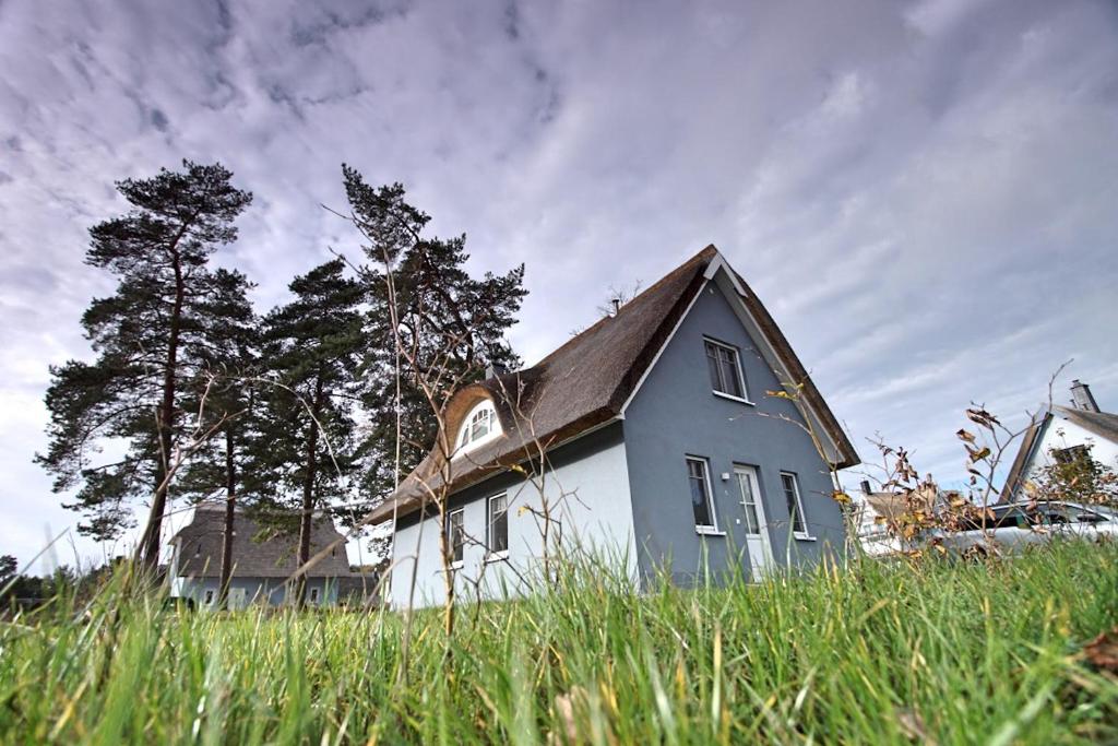 a small house in a field of tall grass at Haus unter den drei Bäumen - Urlaub auf der Sonneninsel Usedom in Zirchow