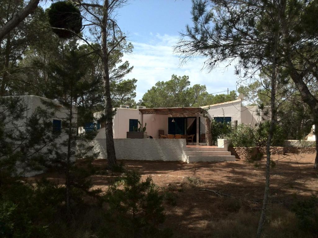 a house in the middle of a forest at Casa Barca Cala Saona in Cala Saona