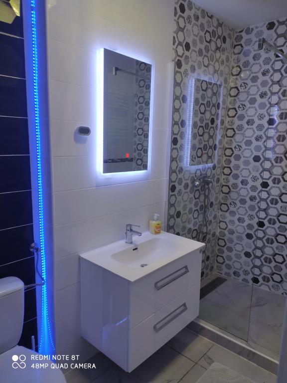 uma casa de banho com um lavatório, um espelho e um chuveiro em Gutenberg utca Apartman Szeged em Szeged