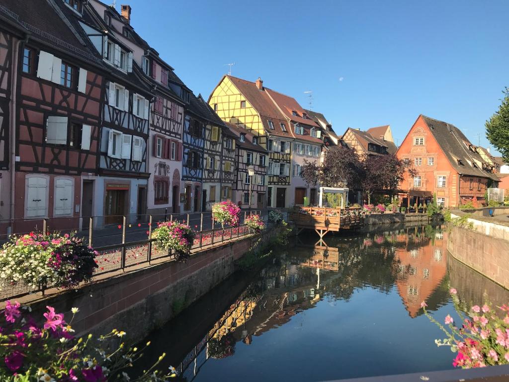 Le coin de Fréderic – photo 22