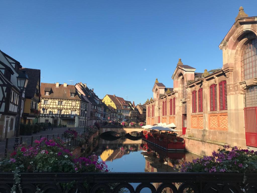 Le coin de Fréderic – photo 23