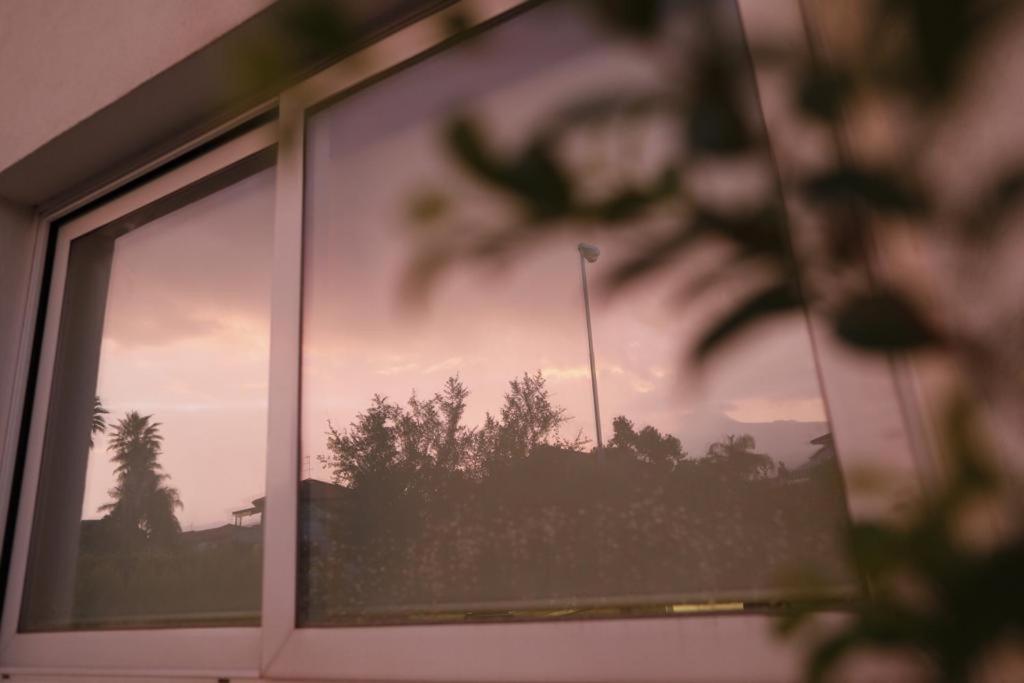 Príroda v okolí apartmánového hotela