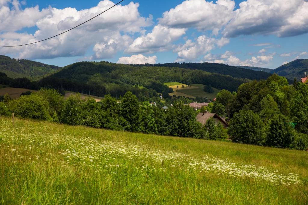 Paesaggio naturale nelle vicinanze del bed & breakfast