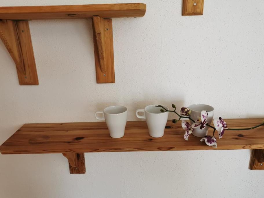 Fotografie z fotogalerie ubytování APARTMA LINDAU v destinaci Lendava