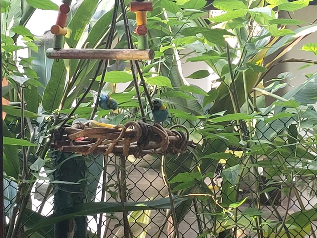  Casa na praia de Itamambuca na cidade de Ubatuba