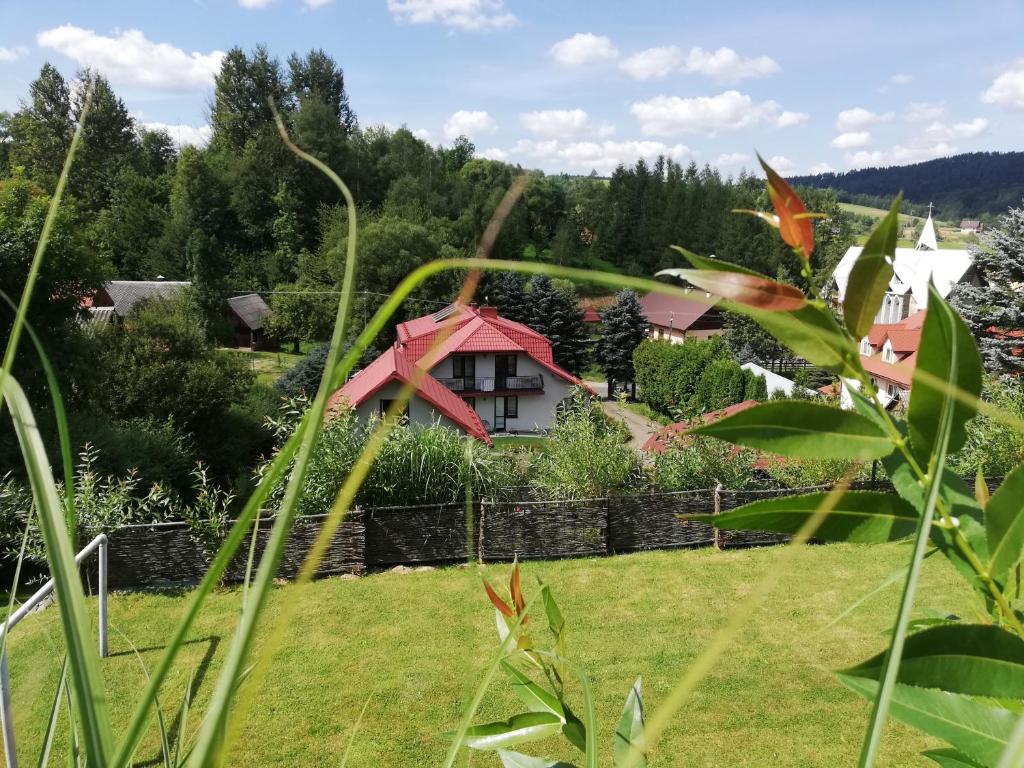 Zahrada ubytování Kwatery u Pączka