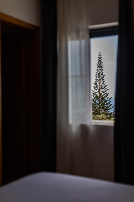 a view of a pine tree through a window at Hotel Arcanjo in Rosário-Lagoa