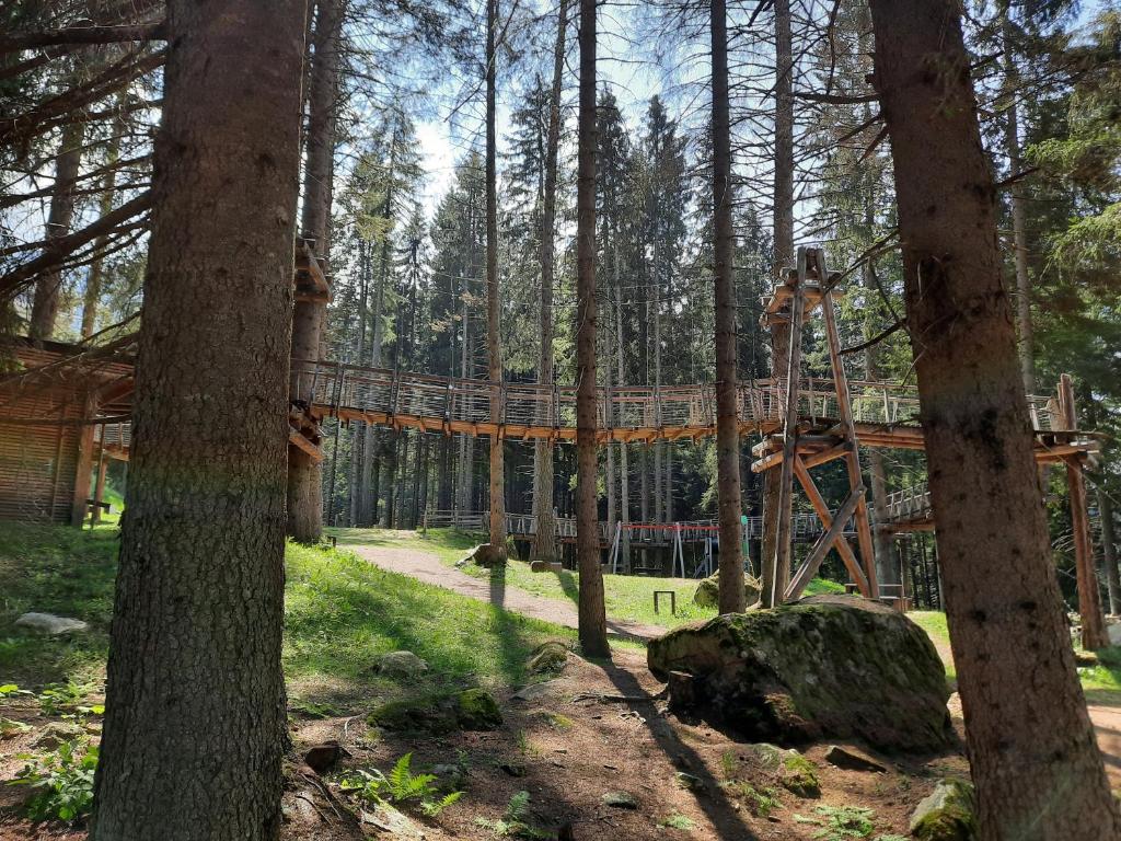 Príroda v okolí apartmánu