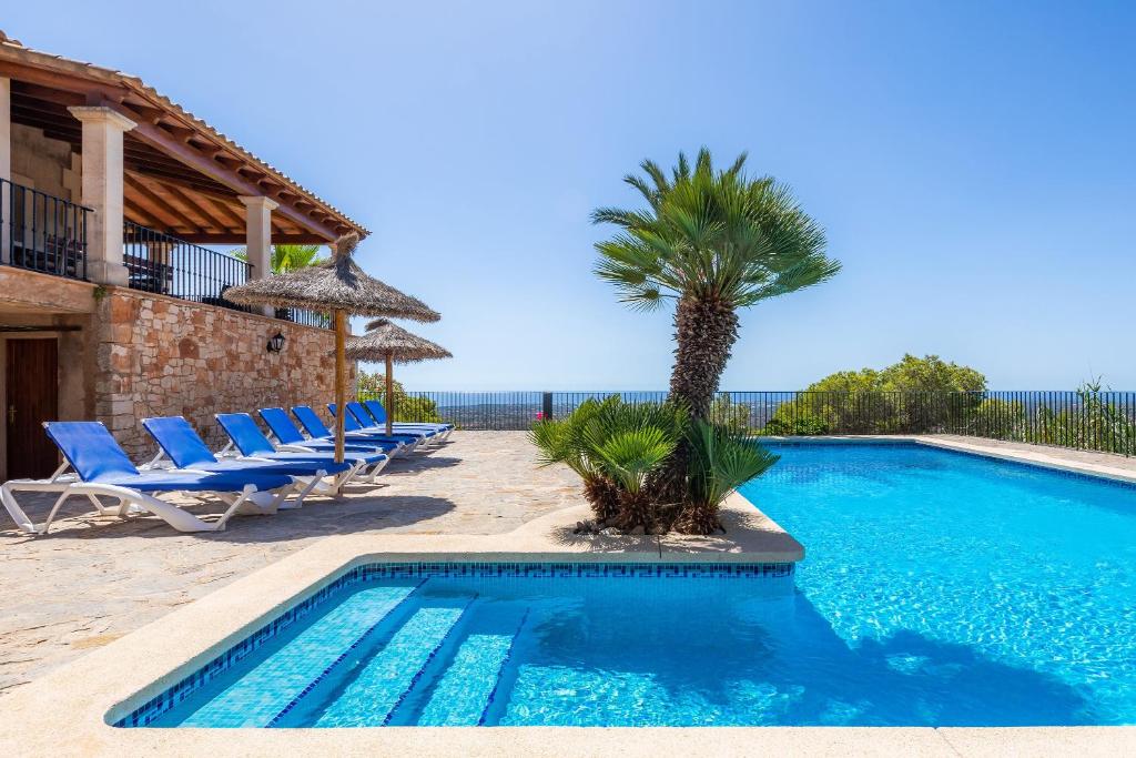 a swimming pool with chairs and a palm tree at Villa Es Puig in S'Horta