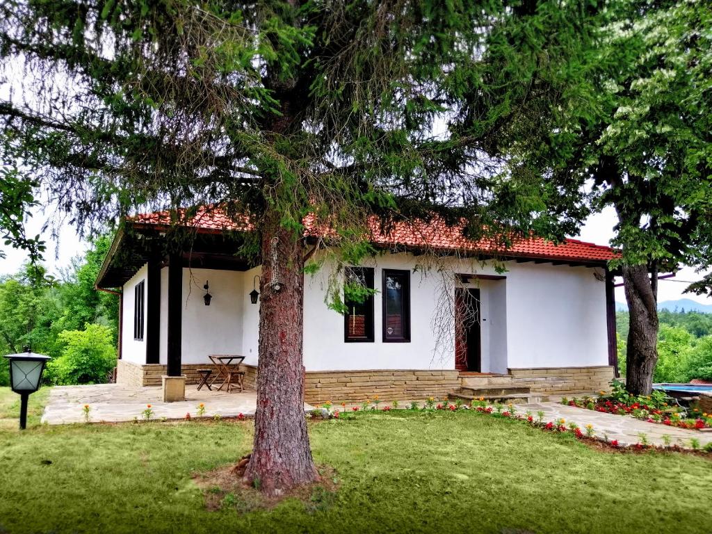 una piccola casa bianca con un albero in cortile di Бор и Шишарка 
