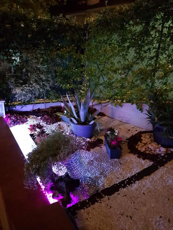 Ogród w obiekcie B&B Villa Rivabella