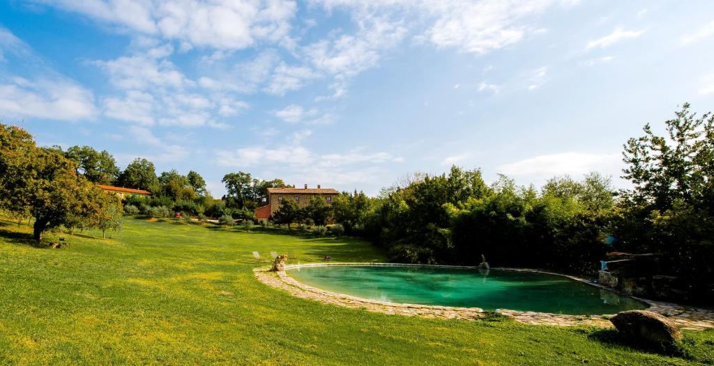 a swimming pool in the middle of a grass field at Agriturismo Paradiso41 in Assisi