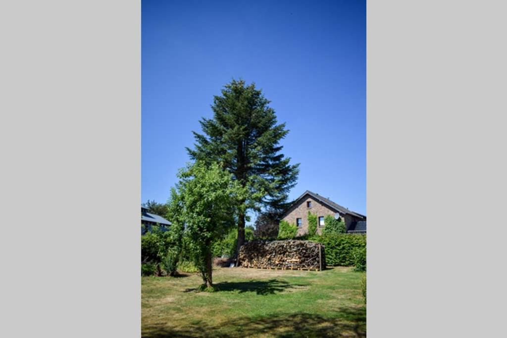 a tree stands in front of a house at Eifel FEWO in Hellenthal