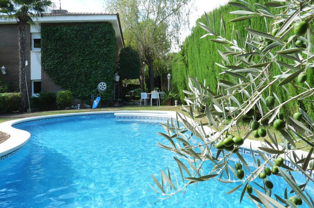una piscina en un patio con un árbol en VILLA DORADA, en Cunit