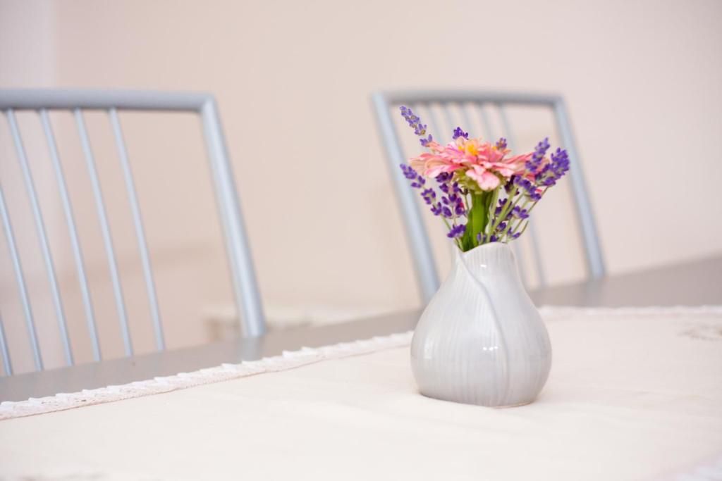 Apartmani Strsoglavec - 12