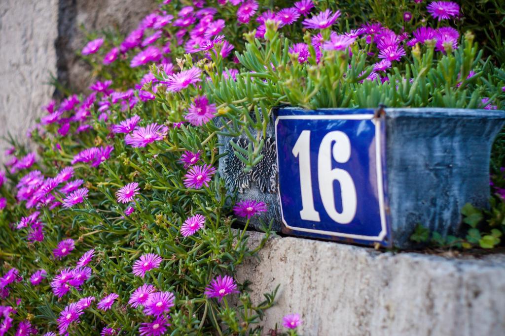 Apartmani Strsoglavec - 15