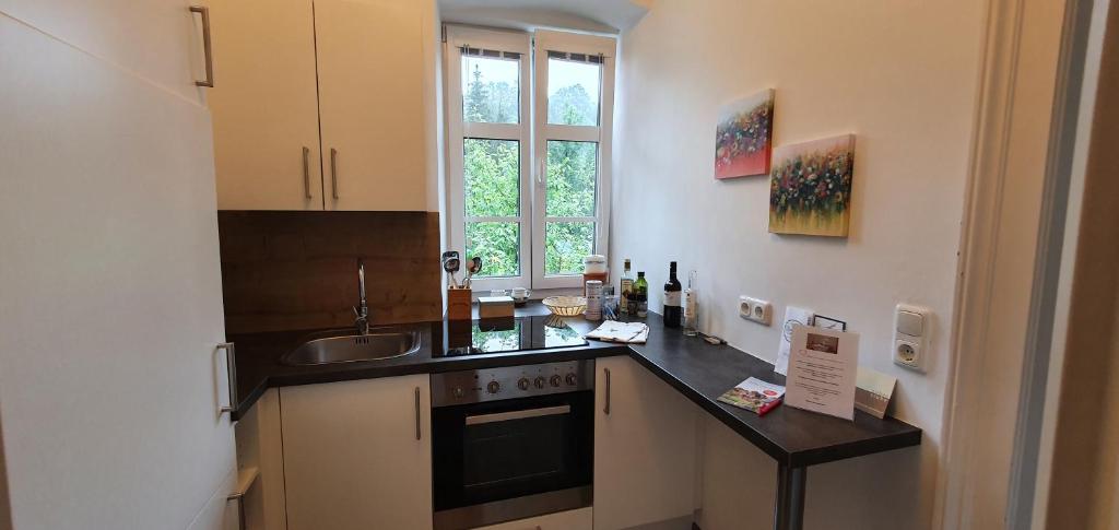 Kuchyňa alebo kuchynka v ubytovaní Appartements Maximilian