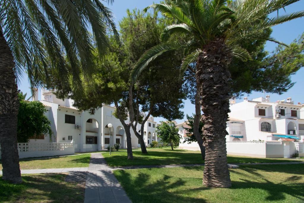 grupa palm przed domem w obiekcie 079 BBQ and Pool - AC WIFI w mieście Torrevieja