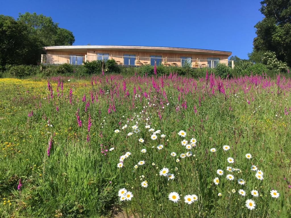 a field of flowers in front of a house at The Sanctuary Cornwall in Golant