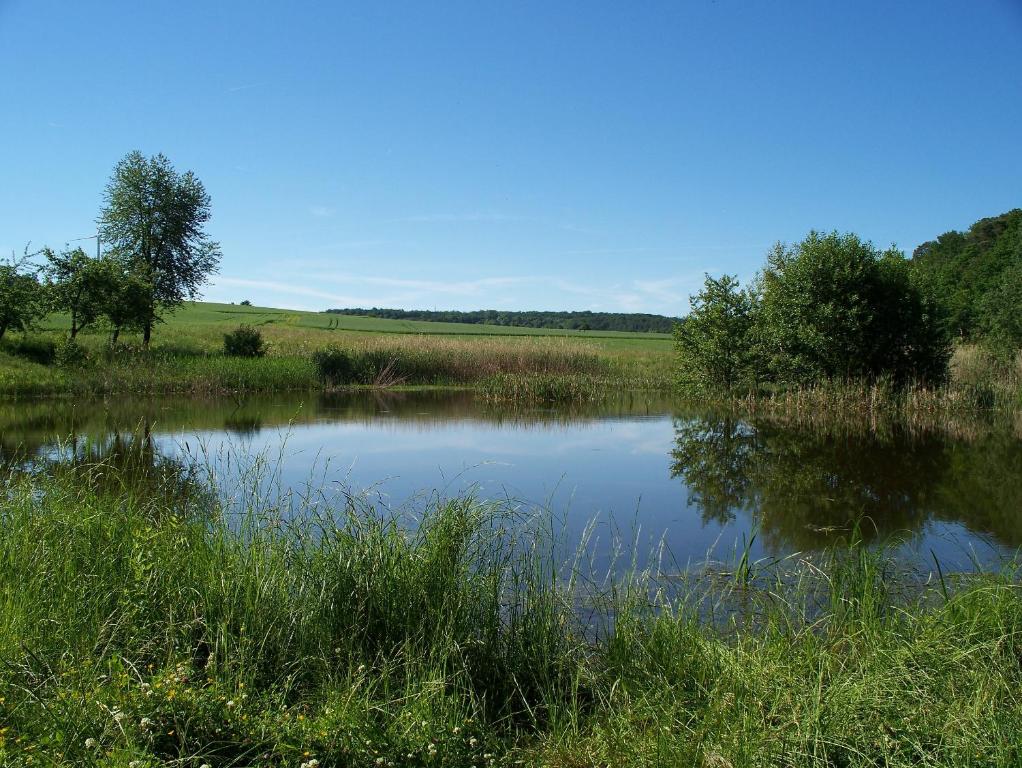 Příroda nedaleko penzionu